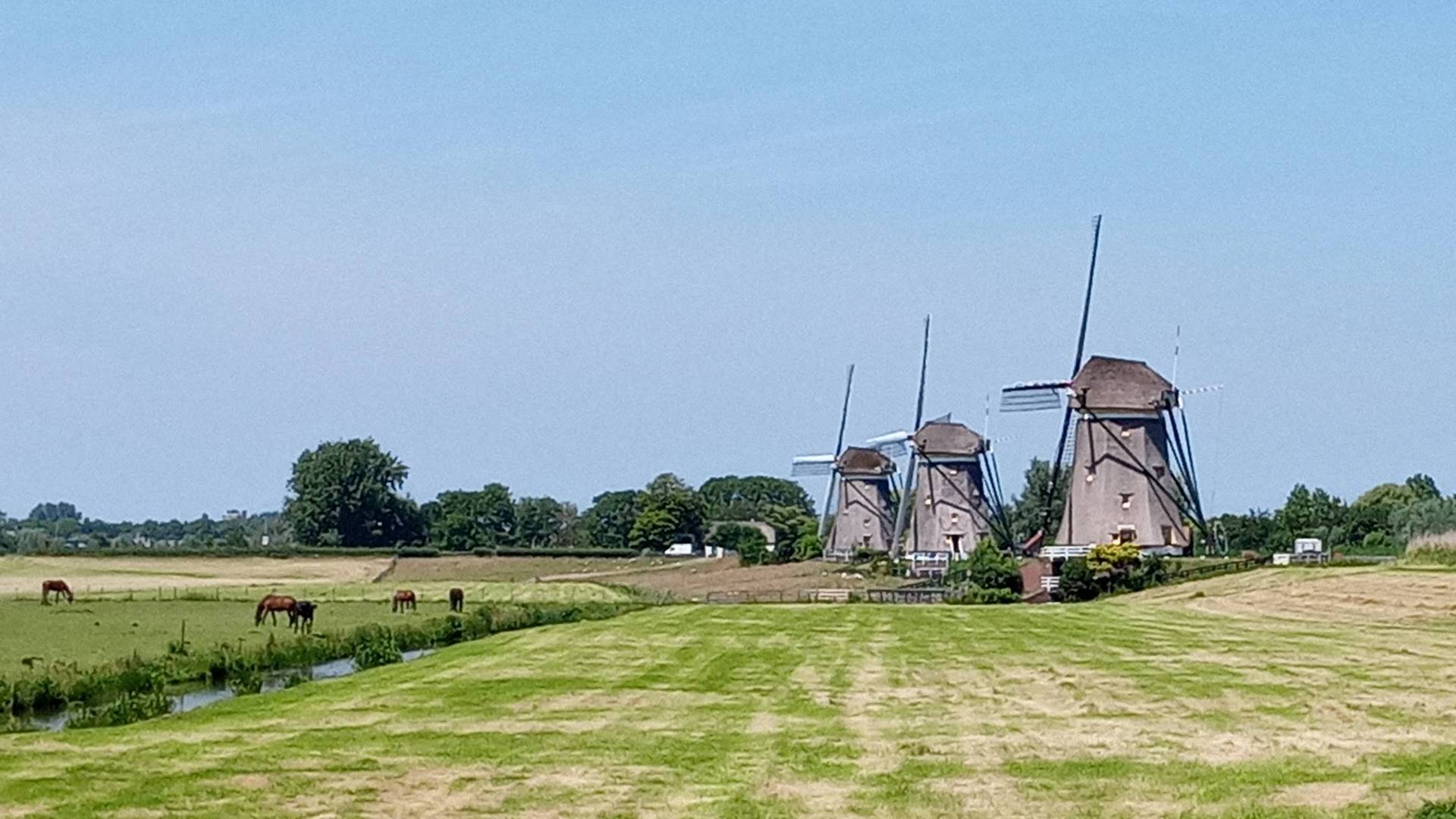 Roelofarendsveen Molenrit 2023